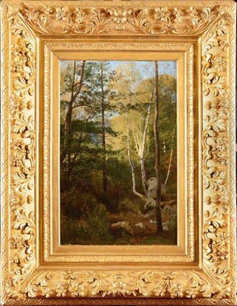 Rocher Dans La Foret Oil Painting by Eugene Antoine Samuel Lavieille