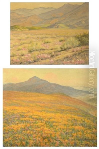 The Floral Rag Carpet; Pink Flowering Desert (2 Works) Oil Painting by Harry V. Law