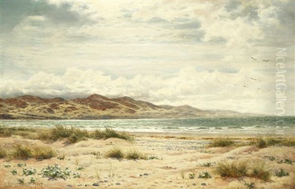 Aberdovey Bay, Wales Oil Painting by Benjamin Williams Leader