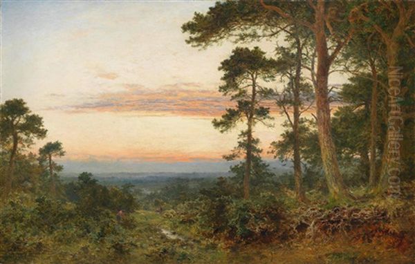 Evening Among The Surrey Pines Oil Painting by Benjamin Williams Leader