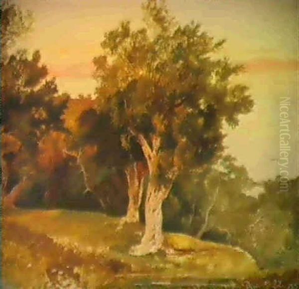 Olive Trees, Corfu Oil Painting by Edward Lear