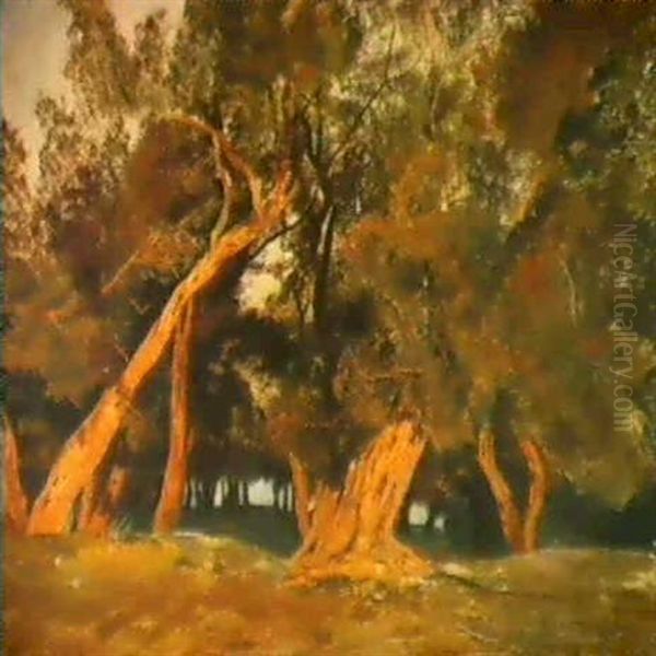 Olive Trees, Corfu Oil Painting by Edward Lear