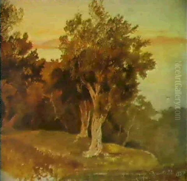 Olive Trees Corfu Oil Painting by Edward Lear