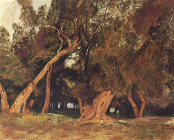 Olive Trees, Corfu Oil Painting by Edward Lear