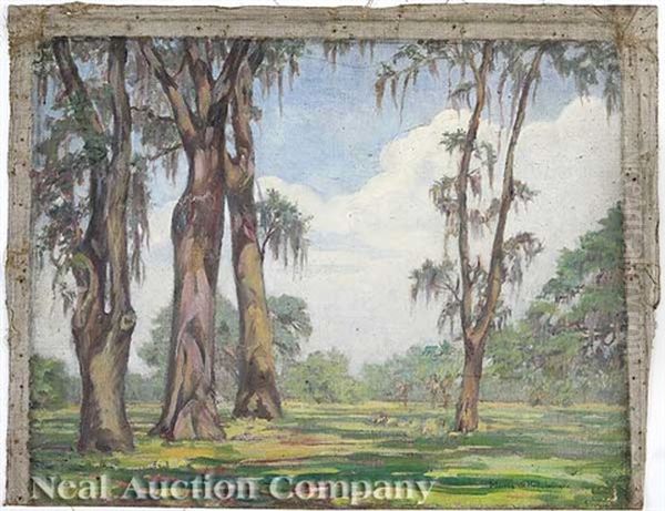 Louisiana Landscape With Moss Laden Cypress Trees Oil Painting by Marie de Hoa LeBlanc