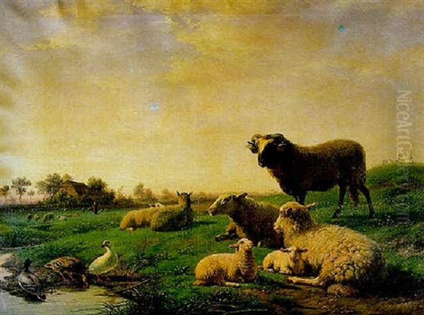 Sheep Resting In A Sunlit Landscape With Ducks By A Stream Oil Painting by Frans Lebret