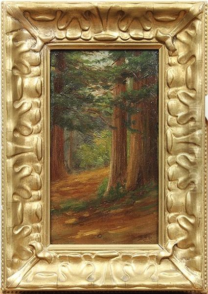 California Redwoods Oil Painting by Bertha Stringer Lee