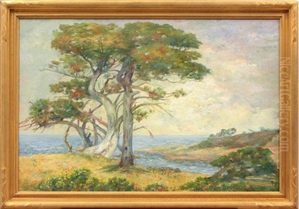 Cypress On The Pacific, Pebble Beach Oil Painting by Bertha Stringer Lee