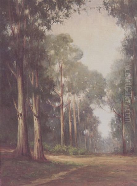 Eucalyptus In The Mist Oil Painting by Bertha Stringer Lee