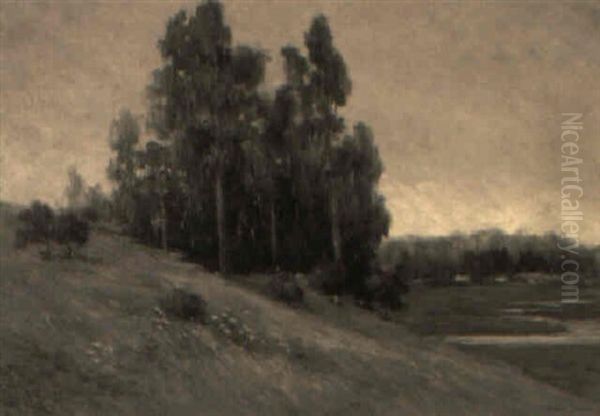 A Group Of Eucalyptus Trees On A Hill Oil Painting by Bertha Stringer Lee