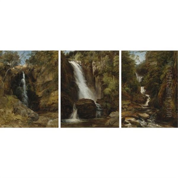 A View Of The Falls Of The Valley Of Desolation, Bolton Abbey, North Yorkshire (+ 2 Others; 3 Works) Oil Painting by Frederick Richard Lee