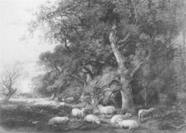 Sheep In A Wooded Landscape Oil Painting by Frederick Richard Lee