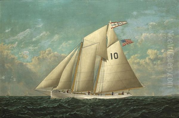 The Pilot Schooner Confidence Under Full Sail Oil Painting by Joseph Lee