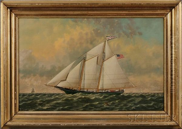 Portrait Of The Schooner 