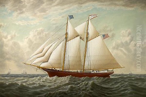 The California Lumber Schooner 