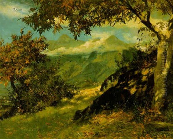 Blick Aus Den Bergen Auf Die Stadt Meran Oil Painting by Ferdinand Leeke