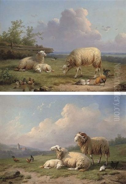 A Ram, Sheep And Poultry In A Landscape (+ Sheep, Ducks And Poultry In A Landscape; Pair) Oil Painting by Cornelis van Leemputten