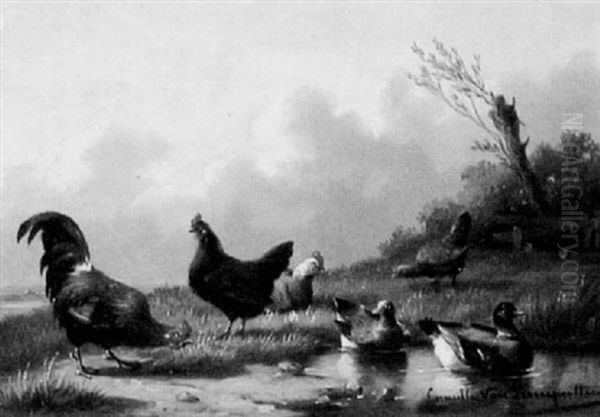 Huhner Und Enten Am Teich Oil Painting by Cornelis van Leemputten