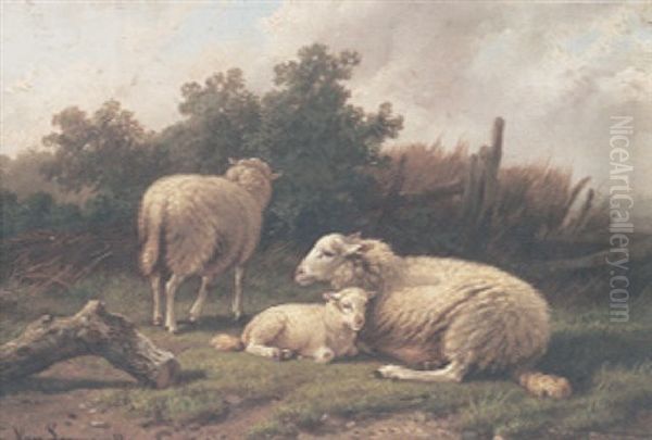 Two Sheep And A Lamb Resting In A Field Oil Painting by Cornelis van Leemputten