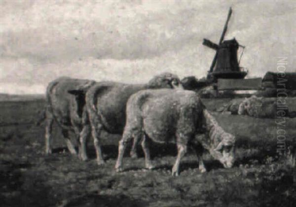 Grazing Sheep, Farm And Windmill In The Distance Oil Painting by Cornelis van Leemputten