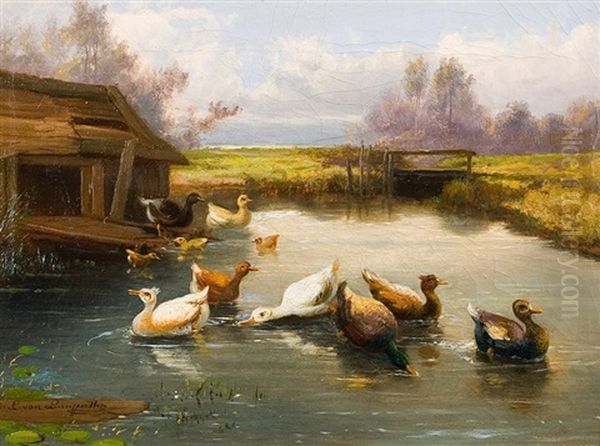 Petits Canards Dans L'eau Oil Painting by Jef Louis Van Leemputten