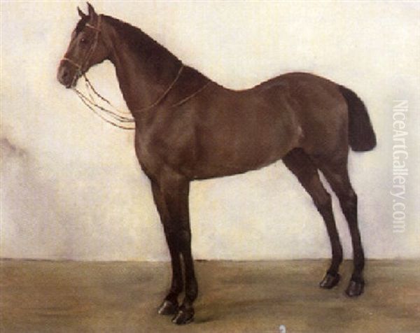 Das Reitpferd Des Grafen Treuberg Oil Painting by Wilhelm Maria Hubertus Leibl