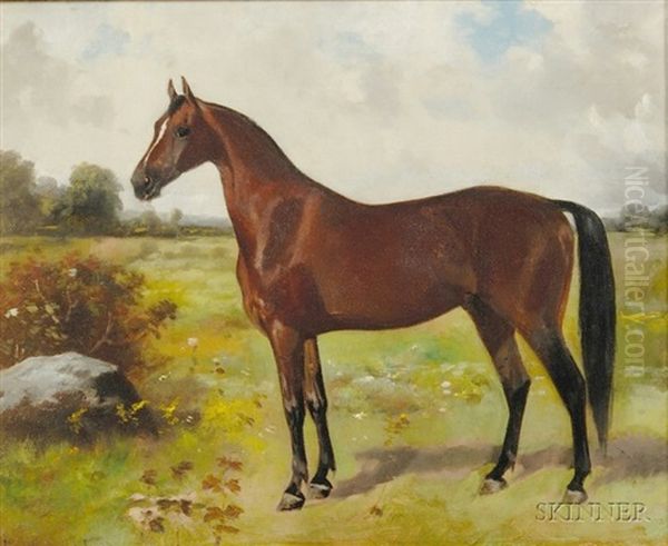 Portrait Of A Horse Oil Painting by Scott Leighton