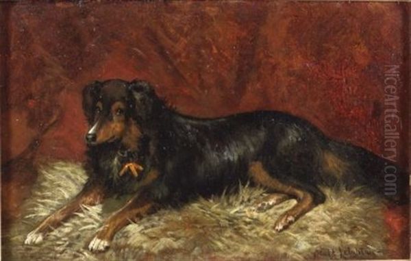 Carlo/a Portrait Of A Seated Dog Oil Painting by Scott Leighton