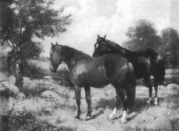 Two Horses In A Rocky Pasture by Scott Leighton