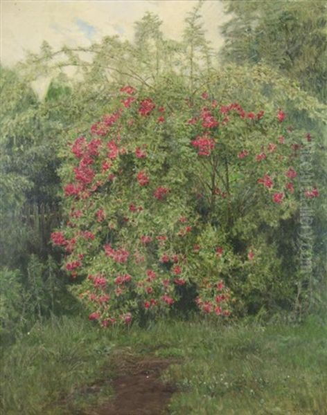 Garden Landscape Oil Painting by Thomas Leitner