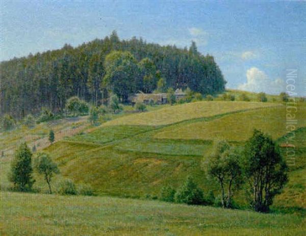 Sommer (waldviertel) Oil Painting by Thomas Leitner