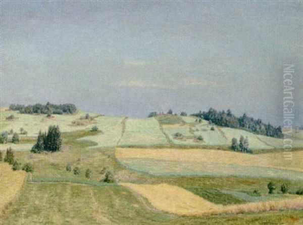 Gehoft Auf Der Hohe (waldviertel) Oil Painting by Thomas Leitner