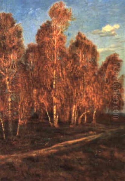 Herbstlicher Birkenwald Oil Painting by Thomas Leitner