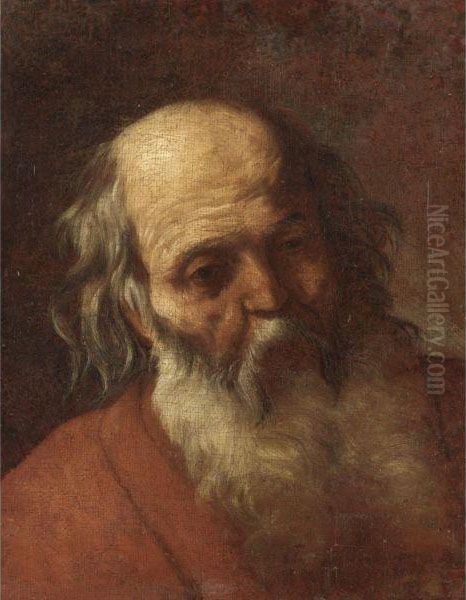 Testa Di Vecchio Oil Painting by Agostino Beltrano