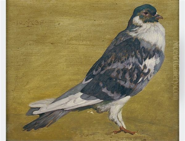 Pigeon Oil Painting by Maximilian Lenz