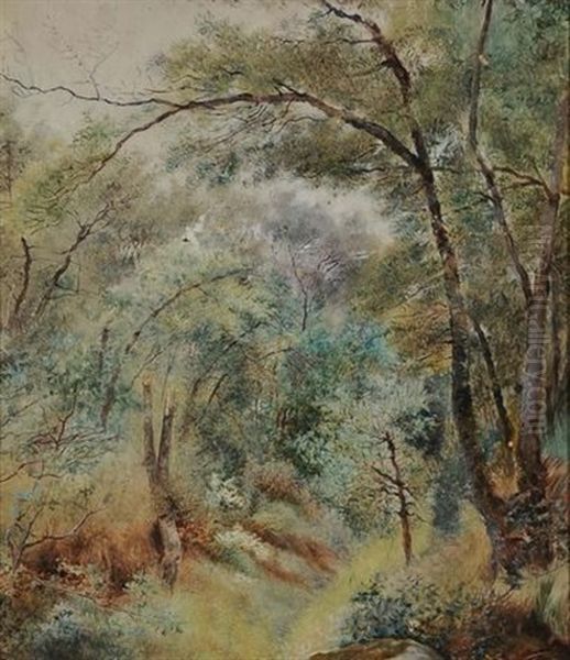 Bosco Di Fontainbleau A Parigi by Ignacio de Leon Escosura