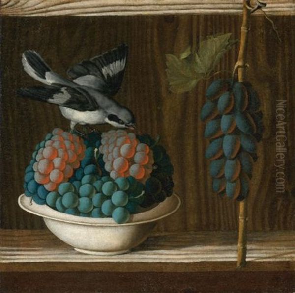 Still Life Of Grapes With A Gray Shrike Oil Painting by Antonio (Da Crevalcore) Leonelli