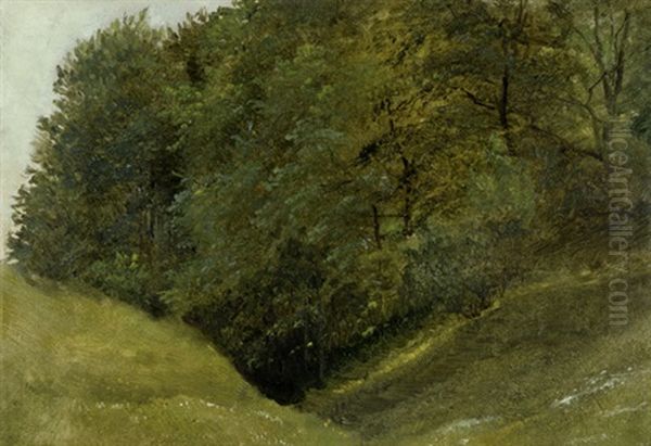 Studie Eines Waldhangs Im Sommer Oil Painting by Eduard Emil August Leonhardi