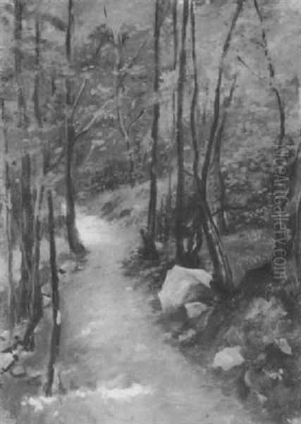 Waldweg Mit Felsbrocken Oil Painting by Eduard Emil August Leonhardi