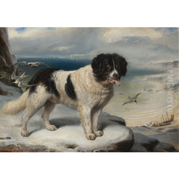 "rome"- Chien De Terre-neuve: A Newfoundland Oil Painting by Francois Gabriel Guillaume Lepaulle