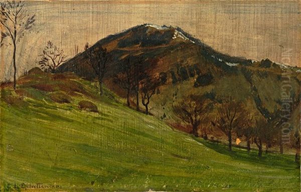 Paysage D'alpe Oil Painting by Charles L'Eplattenier