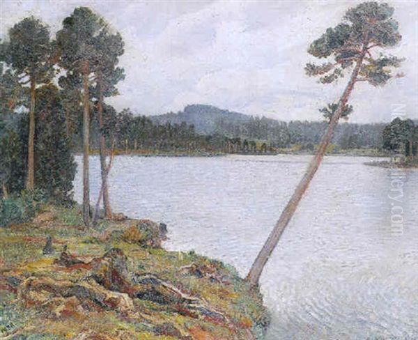 Etang De Gruyere Oil Painting by Charles L'Eplattenier