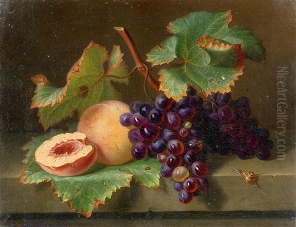 Nature Morte Aux Raisins Et Aux Peches Oil Painting by Ange Louis Guillaume Lesourd-Beauregard