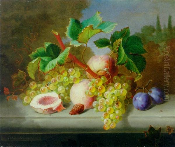 Grapes, Peaches And Plums On A Stone Ledge Oil Painting by Ange Louis Guillaume Lesourd-Beauregard