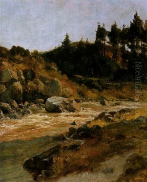 Sonnenbeschienene Bachlandschaft Im Harz Oil Painting by Konrad Ludwig Lessing