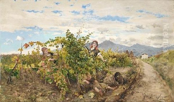 Girls Picking Grapes Oil Painting by Antonino Leto