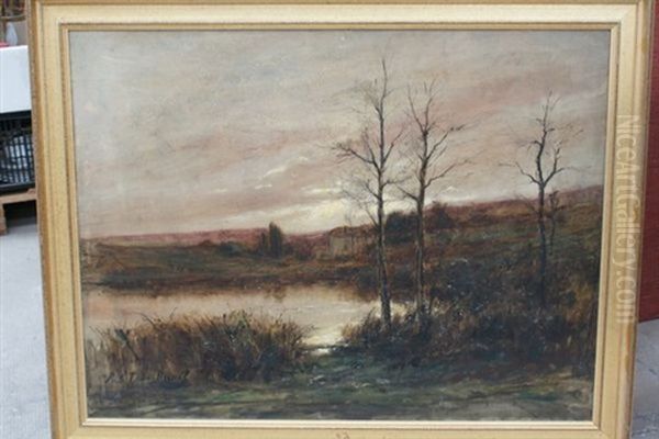 Les Marais Dans L'ain Oil Painting by Raymond Letourneur Dubreuil