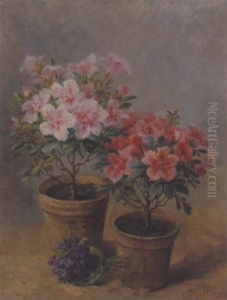 Stilleben Mit Veilchenstraus Und Zwei Blumentopfen Oil Painting by Louis Letsch