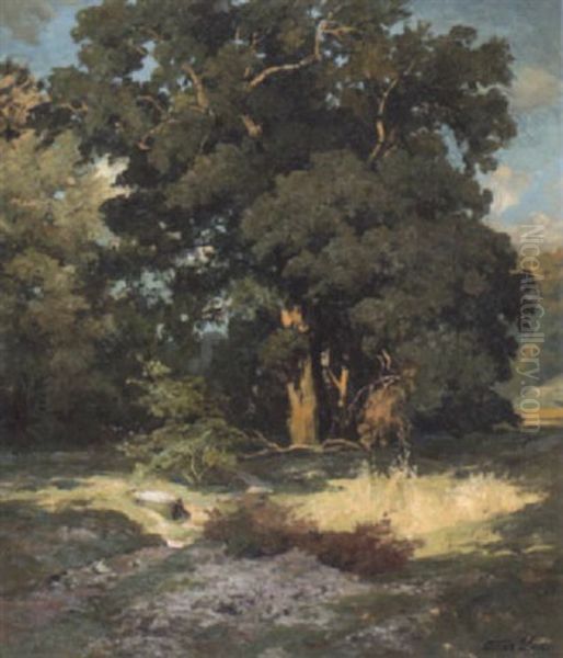 Sonnenbeschienene Eichengruppe In Oberbayern Oil Painting by Oskar Leu