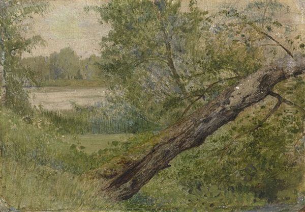 Tree By The Lake Oil Painting by Isaak Levitan